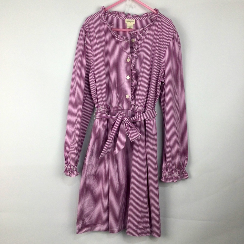 Crewcuts‎ Purple Striped Long Sleeve Dress
